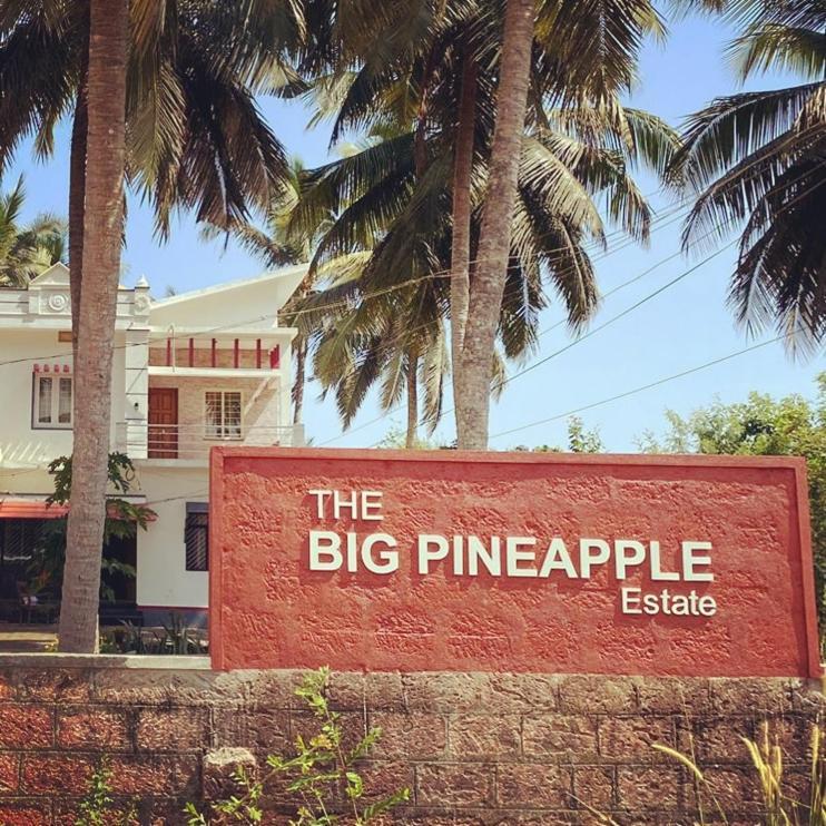 The Big Pineapple Estate Villa Udupi Eksteriør bilde